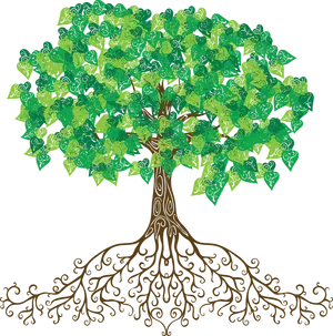 Stylized Treewith Elaborate Rootsand Green Leaves PNG image