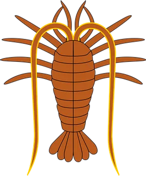 Stylized Trilobite Illustration