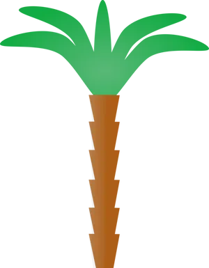 Stylized Tropical Palm Tree PNG image