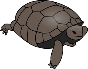 Stylized Turtle Illustration PNG image