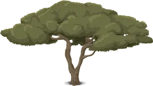 Stylized Vector Tree Illustration