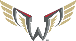 Stylized Wings Logo Design PNG image