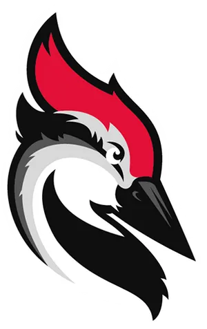 Stylized Woodpecker Graphic PNG