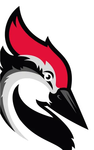 Stylized Woodpecker Illustration