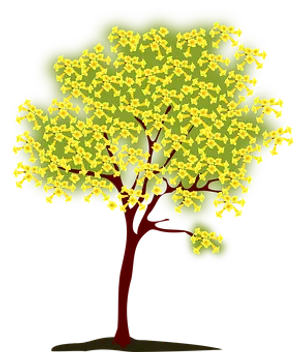 Stylized Yellow Flowering Tree