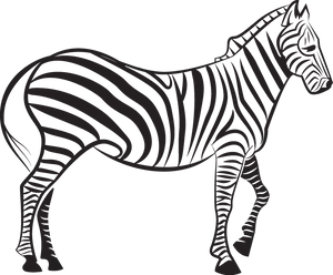 Stylized Zebra Illustration PNG image