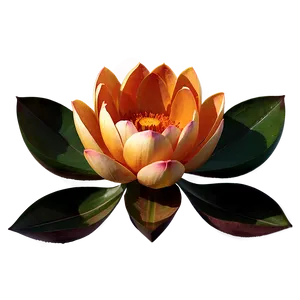 Sublime Orange Lotus PNG 82 PNG
