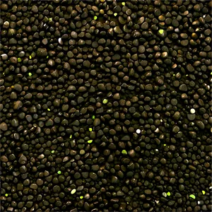 Subtle Dirt Speckle Texture PNG 06122024