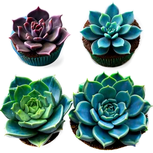 Succulent Cake Decorations PNG 5 PNG