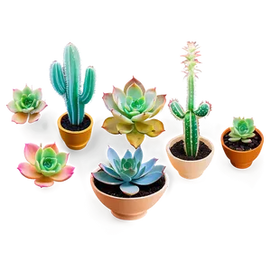Succulent Collection Png 7 PNG image