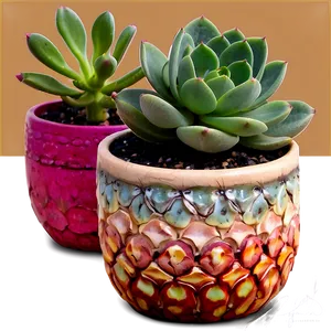 Succulent Planters Diy PNG Bbq