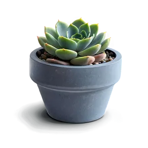 Succulent Planters Diy PNG Ioc42