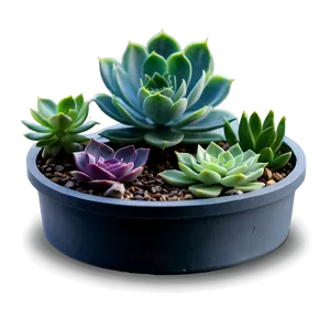 Succulent Subscription Box PNG Gmj57 PNG