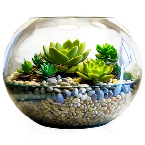 Succulent Terrarium Ideas Png Rou10 PNG image