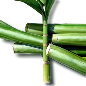 Sugar Production From Sugarcane PNG 06262024