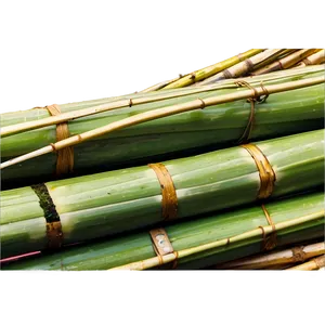 Sugar Production From Sugarcane PNG Yuh70 PNG