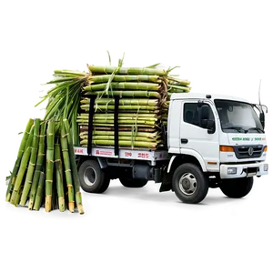 Sugarcane Delivery Truck PNG 86