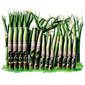 Sugarcane Farming Landscape Png 77 PNG image