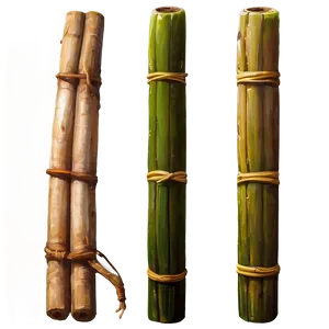 Sugarcane For Traditional Medicine PNG 06262024