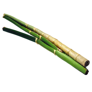 Sugarcane For Traditional Medicine PNG 52