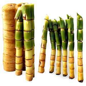 Sugarcane Snack Piece PNG Fqc1 PNG