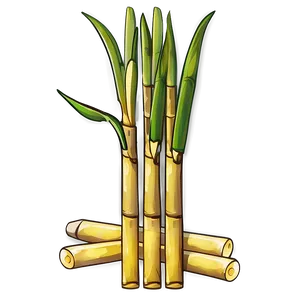 Sugarcane Vector Illustration PNG Ysg