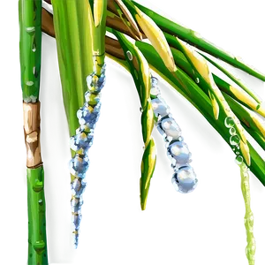 Sugarcane With Dew Drops PNG 06262024