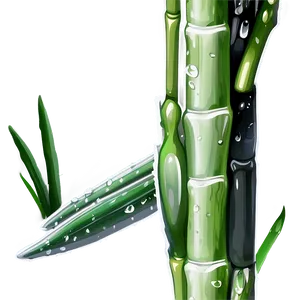 Sugarcane With Dew Drops PNG Kif