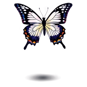 Summer Butterfly Flutter PNG 05212024