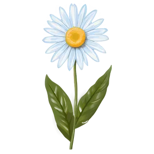 Summer Daisy Print PNG Hhj PNG