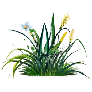 Summer Grass Clipart PNG 06272024