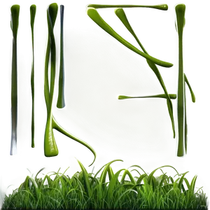 Summer Green Grass PNG 06262024