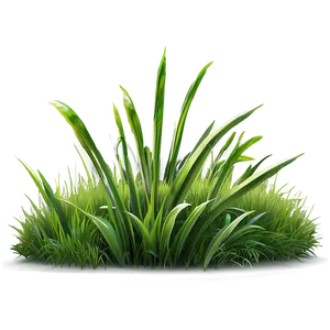 Summer Green Grass PNG 94
