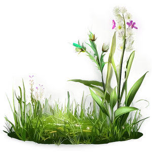 Summer Meadow Grass Png 04292024 PNG image
