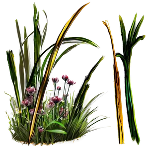 Summer Meadow Grass Png 77 PNG image