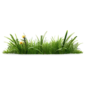 Summer Meadow Grass Png Mfg87 PNG image