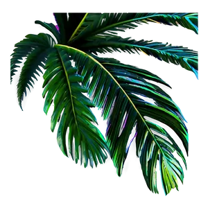 Summer Palm Leaves PNG Caq