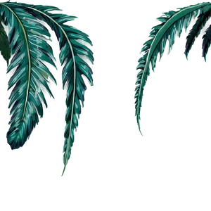 Summer Palm Leaves PNG Har