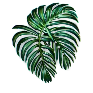Summer Palm Leaves PNG Rgy