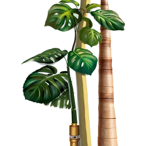 Summer Plant PNG 2 PNG