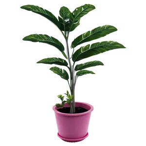 Summer Plant PNG Qdo PNG