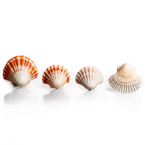 Summer Seashell Collection PNG 05212024