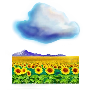 Summer Sunflower Field PNG Cxs