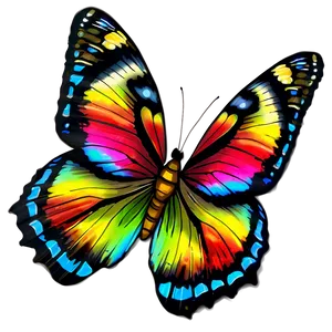 Summer Vibes Butterfly Png Kxa19 PNG image