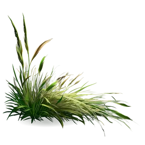 Summer Wild Grass Png Rrp72 PNG image