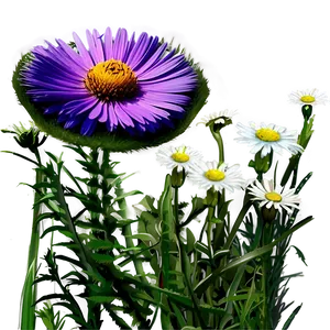Summer Wildflowers Field PNG 89 PNG