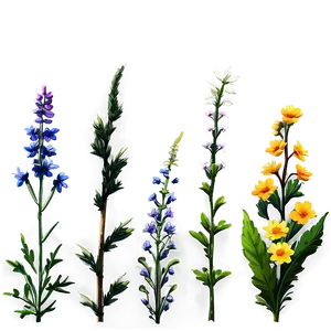 Summer Wildflowers Field Png 95 PNG image