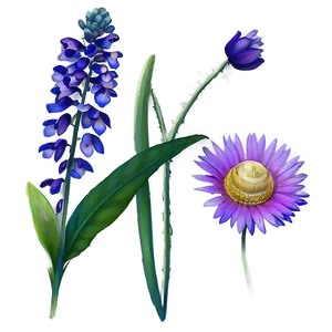 Summer Wildflowers PNG 05212024