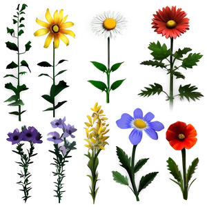 Summer Wildflowers PNG 49