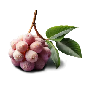 Summery Lychee PNG 05232024